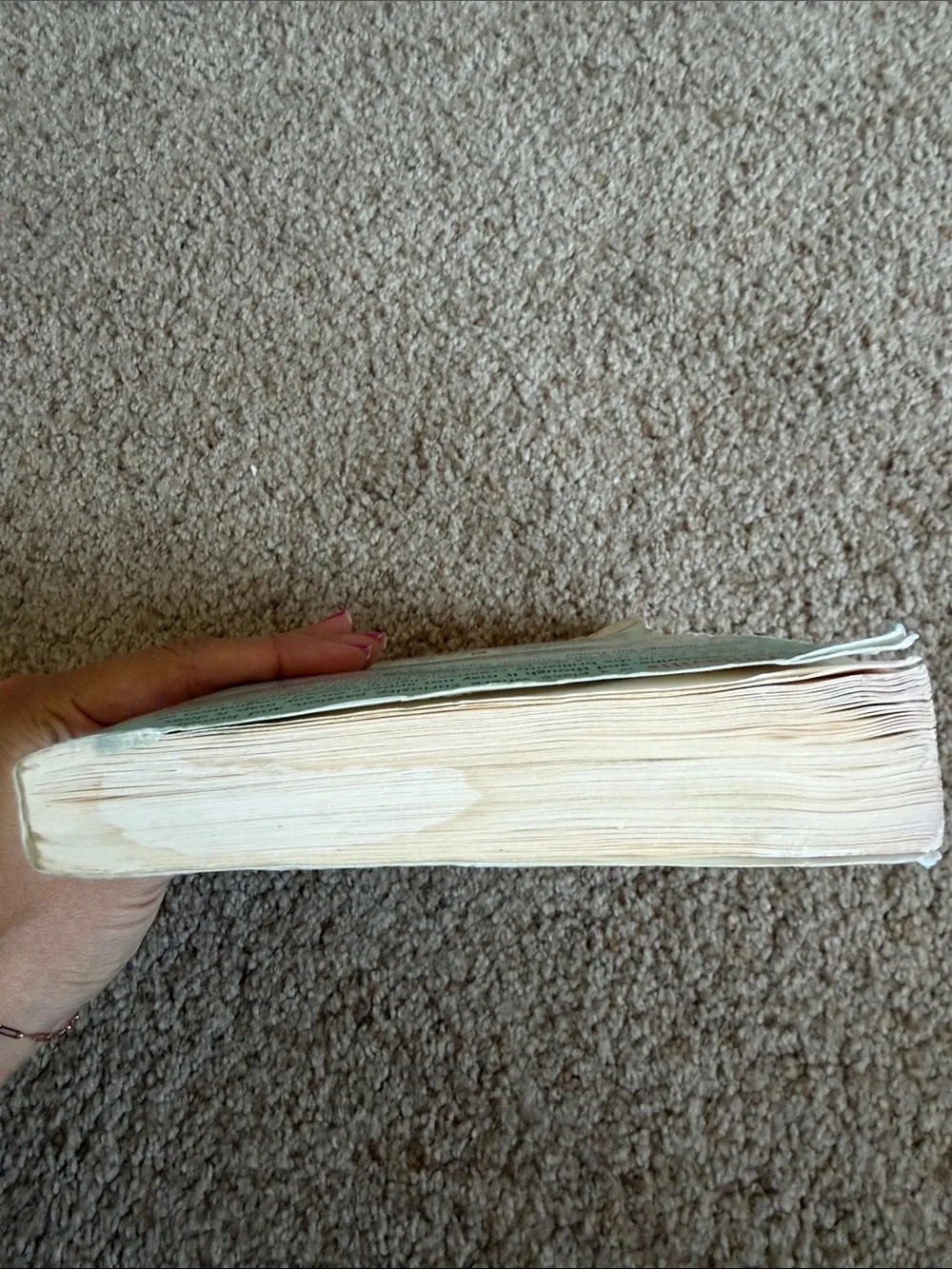Margaritaville Paperback Book - Light Blue Cover